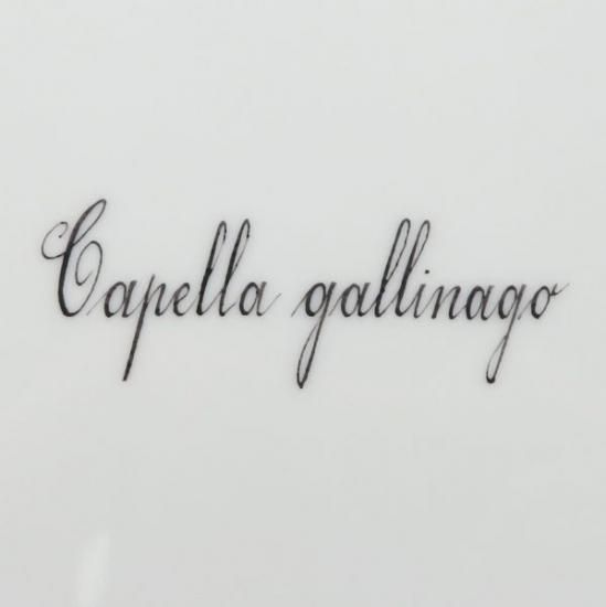 ロイヤルコペンハーゲン プレート □ ファウナダニカ フローラダニカ