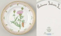 륳ڥϡ ե˥(1790-1960) ǥʡץ졼 Centaurea Scabiosa L