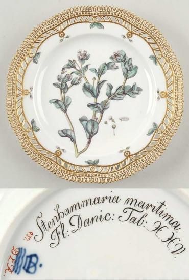 ☆超希少☆ロイコペ フローラダニカ フルーツサービス