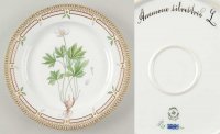륳ڥϡ ե˥(1790-1960) 饦ɥץ졼 Anemone silvestris L