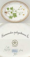 륳ڥϡ ե˥(1961-) Х륵ӥ󥰥ץ졼 Ranunculus Polyanthemos L