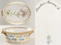 륳ڥϡ ե˥(1961-) Хե롼ĥХå Dianthus Armeria L