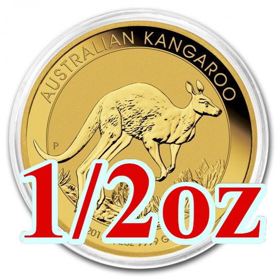 2017 オーストラリア、カンガルー金貨 1オンス 33mmクリアケース付き ...