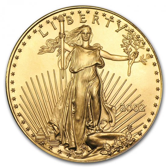 2002 アメリカ イーグル金貨 1オンス （33mmクリアーケース付き） - 野口コイン株式会社 ウィーン金貨、プラチナウィーン、メープル