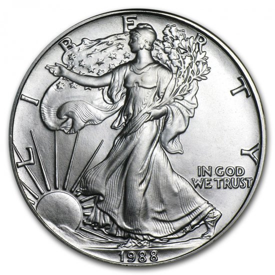 バッファロー銀貨　米国銀貨　純銀製コイン　20枚ケース付き