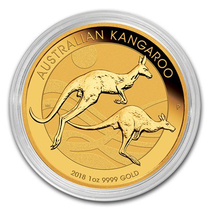 2018 オーストラリア、カンガルー金貨 1オンス 33mmクリアケース付き 