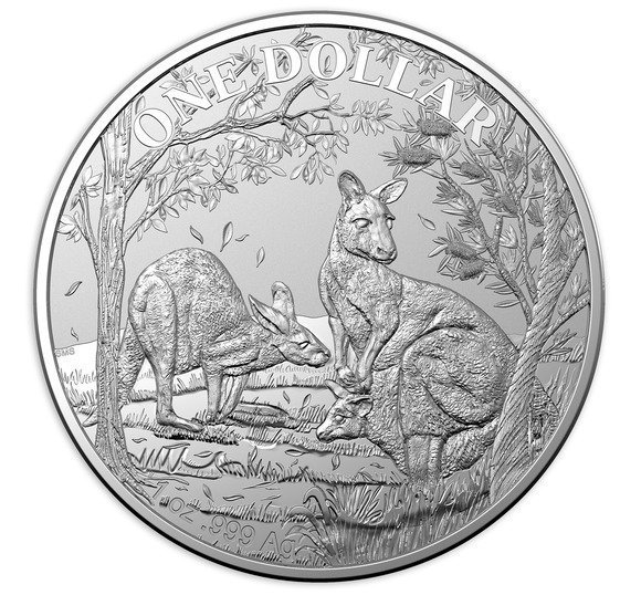 5$Year【黒い銀貨】ヒメフクロウインコ オーストラリア銀貨 2019