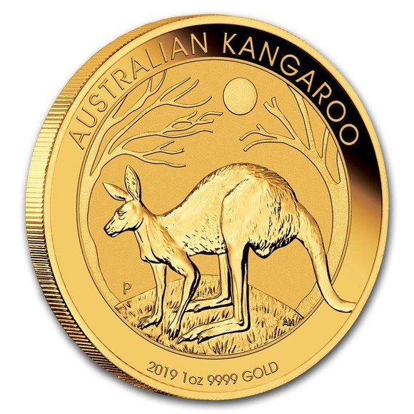 2019 オーストラリア カンガルー金貨 1オンス 33mmクリアケース付き 
