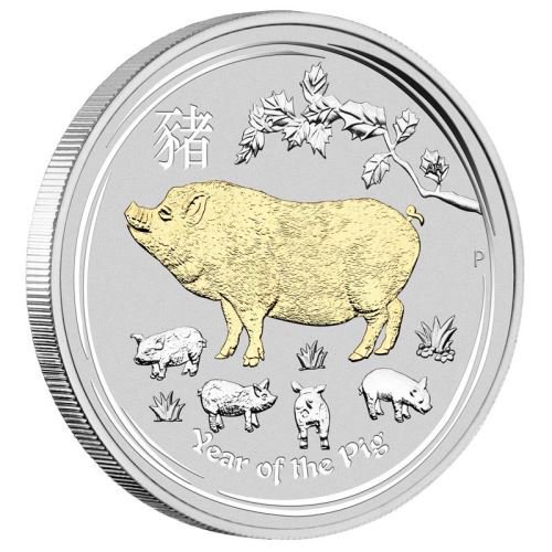銀貨 1kg 2019年 猪 干支コイン オーストラリアパース造幣局 - www 