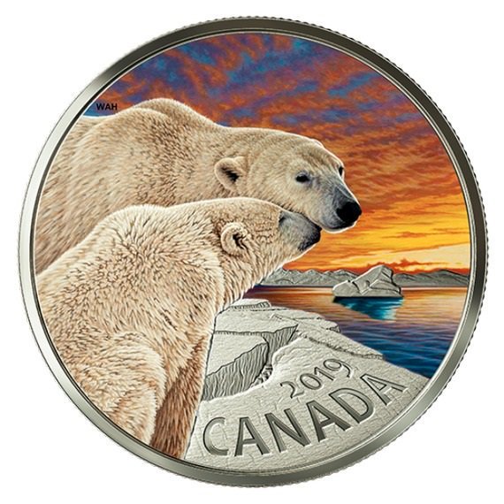 2019 カナダ カナダの動物：ホッキョクグマ 銀貨 1オンス 彩色プルーフ ...