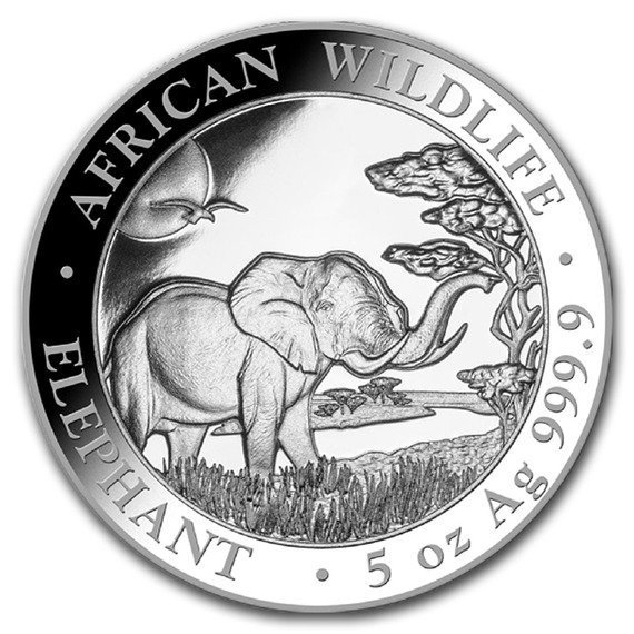 2021 ソマリア アフリカの野生生物：ヒョウ 1500シリング金貨 5オンス 