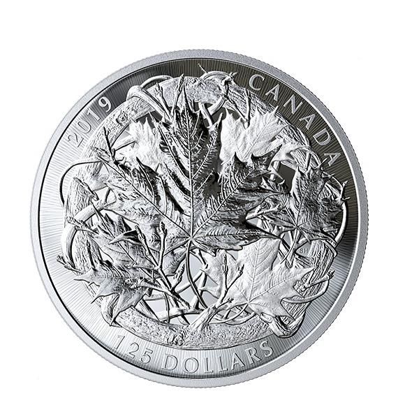 UFO銀貨銅貨セット　1オンス　各1枚 RANDSVC1OZ-5