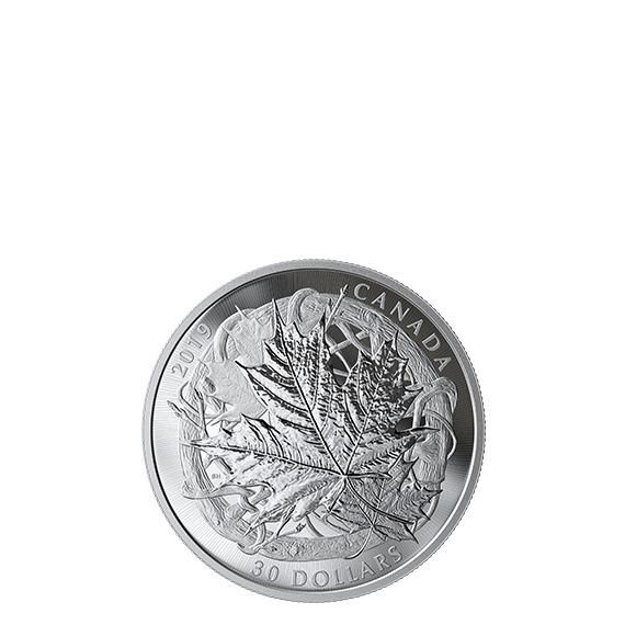 UFO銀貨銅貨セット　1オンス　各1枚 AP284458-5