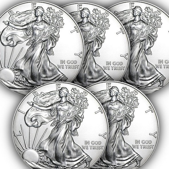 2020 アメリカ イーグル銀貨 1オンス □5枚セット (41mmクリアーケース付き) 新品未使用 - 野口コイン株式会社