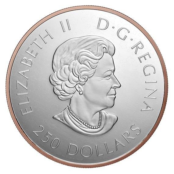 176598