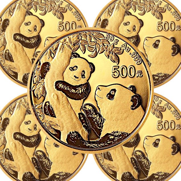 2021 30グラム 中国 パンダ 金貨 □【5枚】セット新品未使用 500元 - 野口コイン株式会社