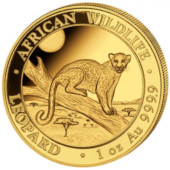 2021 ソマリア アフリカの野生生物：ヒョウ 1000シリング金貨 1オンス 39mmクリアケース付き 新品未使用 - 野口コイン株式会社