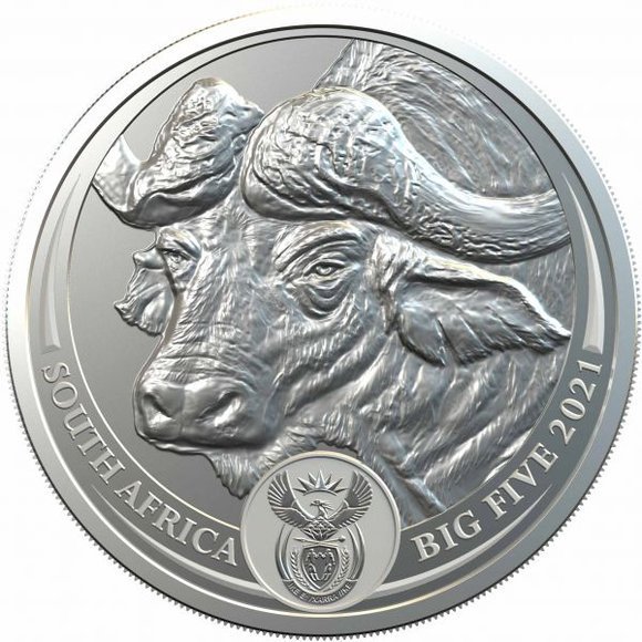 2021 南アフリカ ビッグファイブ：スイギュウ 5ランド銀貨 1オンス カード型ケース付き 【Proof】 新品未使用 - 野口コイン株式会社