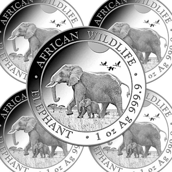 アフリカの野生生物：エレファント銀貨 1オンス - 野口コイン株式会社