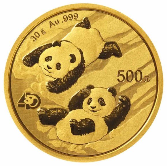2022 30グラム 中国 パンダ銀貨 40mmクリアケース付き 新品