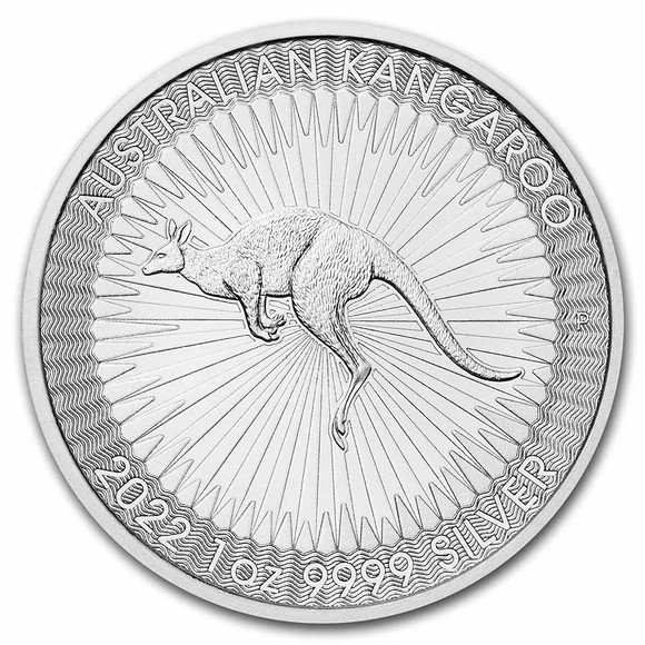 2022 1オンス オーストラリア カンガルー銀貨 41mmクリアケース付き 
