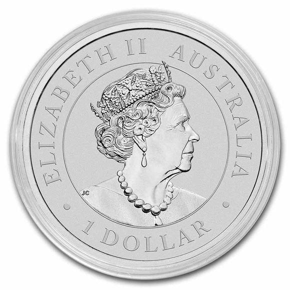 2022 1オンス オーストラリア コアラ 銀貨 41mmクリアケース付き 新品