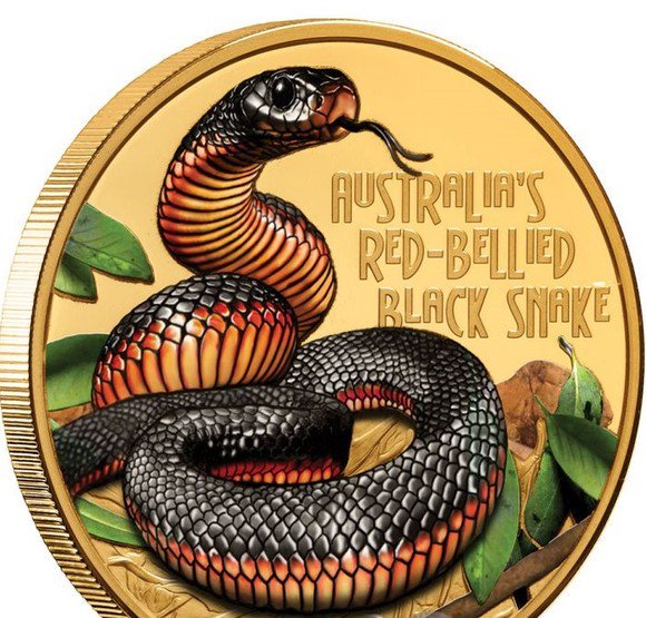 アンティークコイン 金貨 2020 1oz Gold $100 Niue Snake Necked