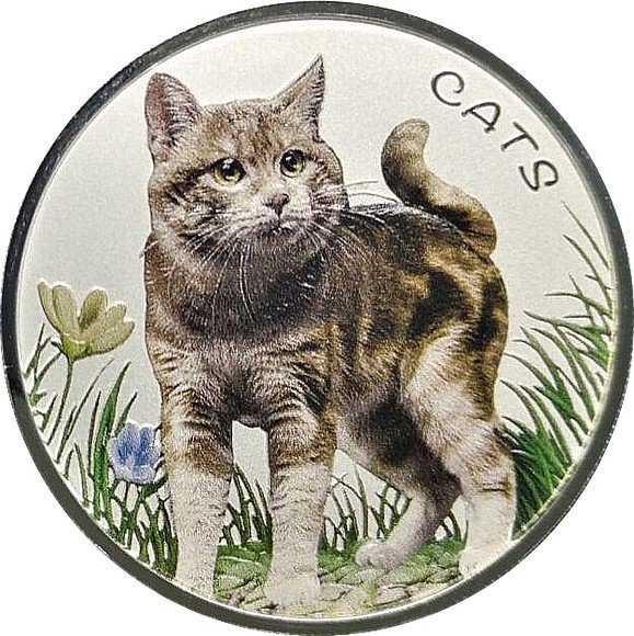 最新作 2022年 フィジー 猫シリーズ第2弾 カラー版 猫 1オンス銀貨