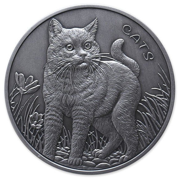 2022年 フィジー カラー版とシルバー版のセット 猫 1オンス銀貨 純銀