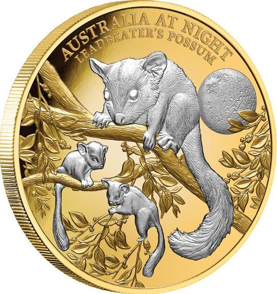 2022 1オンス ニウエ オーストラリアの夜：フクロモモンガダマシ金貨