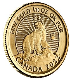 2022 1/10オンス カナダ 壮大なホッキョクグマ 金貨 プルーフ カード型 