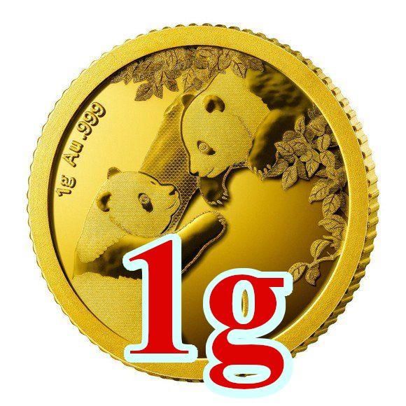 NGCパンダ 金貨 純金 1g - www.sidos.com.br