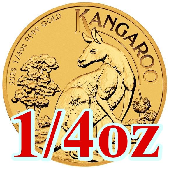 2021 カンガルー金貨1/10オンス クリアケース付オーストラリア金貨