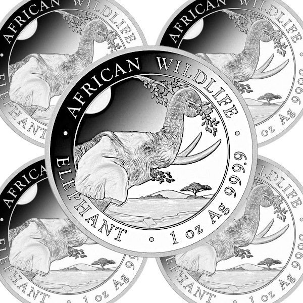 アフリカの野生生物：エレファント銀貨 1オンス - 野口コイン株式会社 - 地金