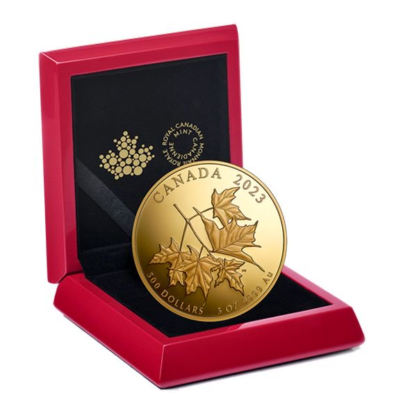 2023 5オンス カナダ 最愛のカエデの葉 金貨 プルーフ 【Proof】 500