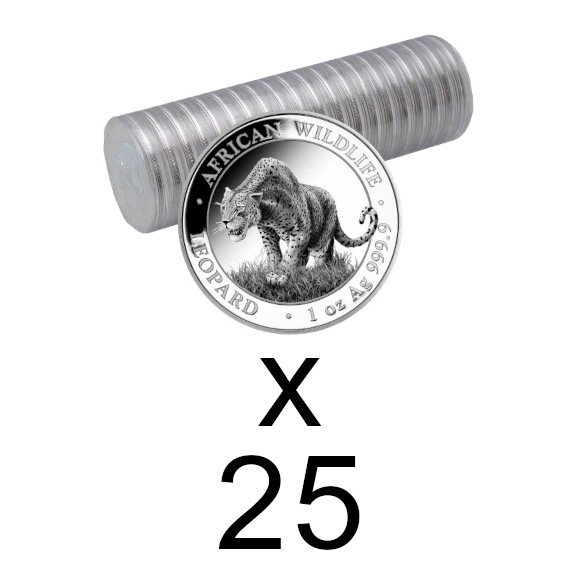 2023 1オンス ソマリア レオパード 銀貨 100シリング 39mmクリアケース付き 新品未使用 - 野口コイン株式会社