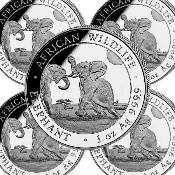 アフリカの野生生物：エレファント銀貨 1オンス - 野口コイン株式会社