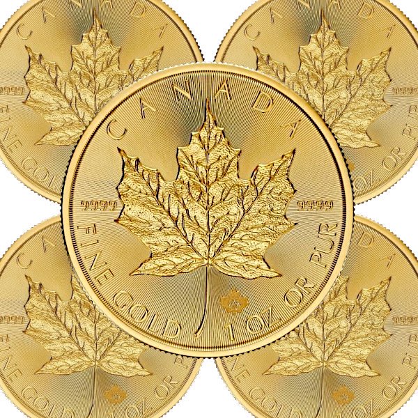 2024 1オンス カナダ メイプル金貨 （30mmクリアケース付き） 新品未 