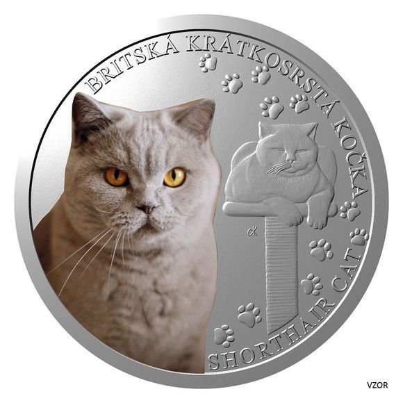 2024 1オンス ニウエ ブリティッシュショートヘア：猫シリーズ 彩色 銀貨 プルーフ 【proof】 1ドル 新品未使用 - 野口コイン株式会社