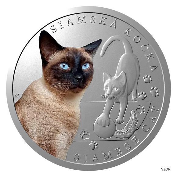 2024 1オンス ニウエ シャムネコ：猫シリーズ 彩色 銀貨 プルーフ 【proof】 1ドル 新品未使用 (7月下旬以降発送予定) - 野口コイン 株式会社