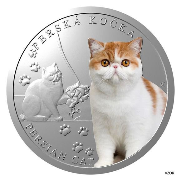 2024 1オンス ニウエ ペルシャネコ：猫シリーズ 彩色 銀貨 プルーフ 【proof】 1ドル 新品未使用 (9月下旬以降発送予定) - 野口コイン 株式会社