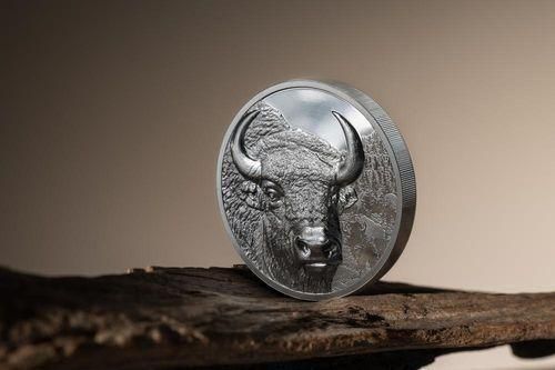 2025年モンゴル バイソン プルーフ銀貨（ハイレリーフ） モンゴル 2025
