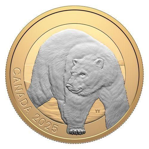 NGC PF69UCAM カナダ 2024年 北極熊 5＄ １/4oz 銀貨 NGC PF69UCAM カナダ 2024年 北極熊 5＄ 1/4oz 銀貨の通販 by