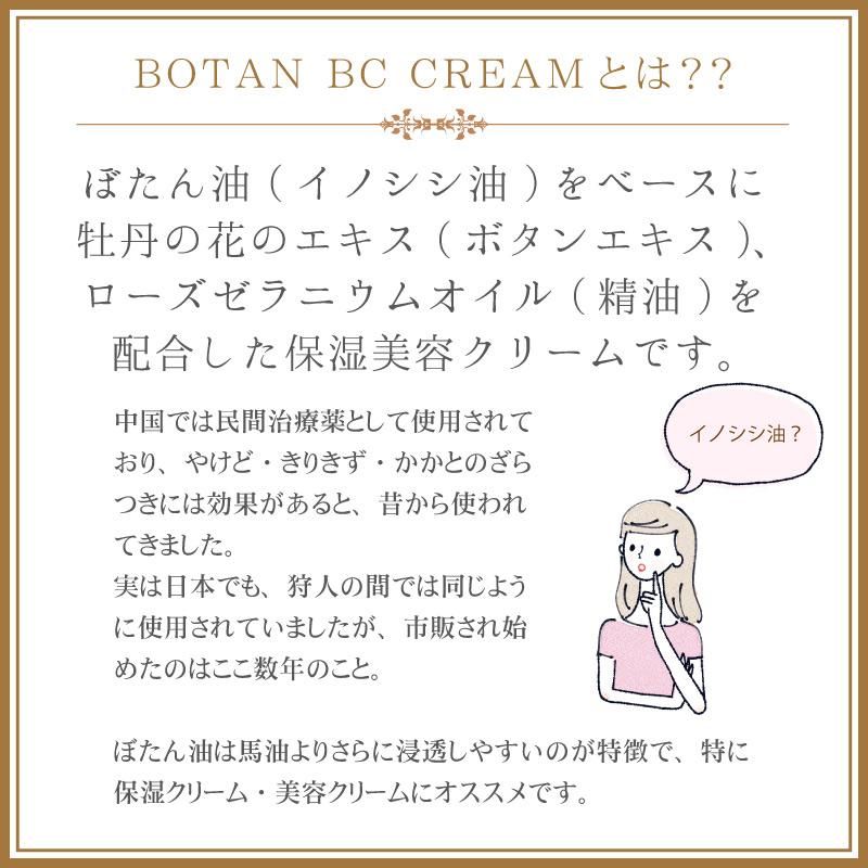 今話題のぼたん油シリーズ＞BAYULA(バユラ) アマダスセットBOTAN EX