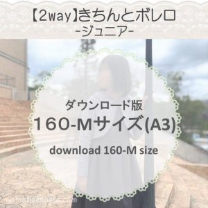 ڥɣǡۤȥܥ M (download-160M size)