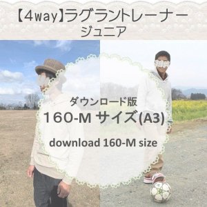 ڥɣǡۥ饰ȥ졼ʡ M (download-160M size)