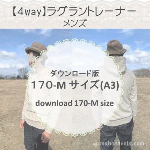 ڥɣǡۥ饰ȥ졼ʡ M (download-170M size)