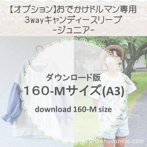 ڥɣǡۥǥ꡼֣-(download-160M size)