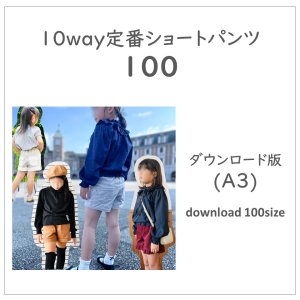 ڥɣǡ֥硼ȥѥģ (download-100size)