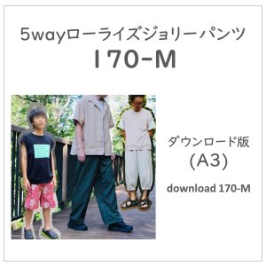 ڥɣǡۥ饤꡼ѥ ݣ (download)